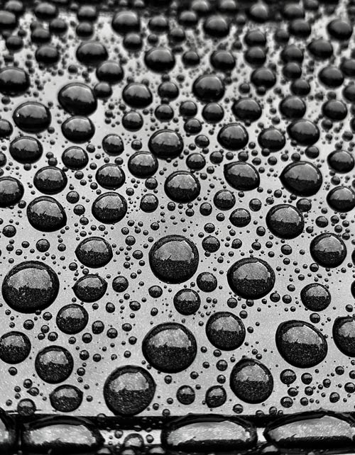 close up of water droplets on a dark surface reflecting light showcasing the texture and shine of raindrops water surface condensation droplets